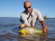 A fairly good one A fairly good one