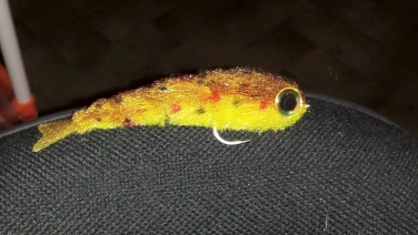 Articulated Articulated