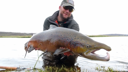 End of season 2013 - a 109 cm salmon End of season 2013 - a 109 cm salmon