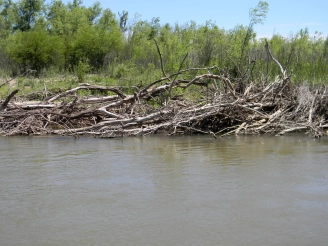 Dorado location Dorado location