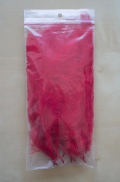 In the bag In the bag