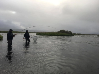 Ready to be netted by the guide Ready to be netted by the guide