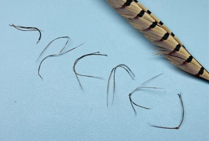 Finished legs Finished legs