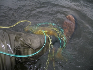 Picking up dirt Picking up dirt