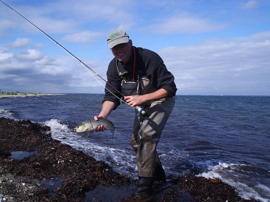 Great conditions Great conditions