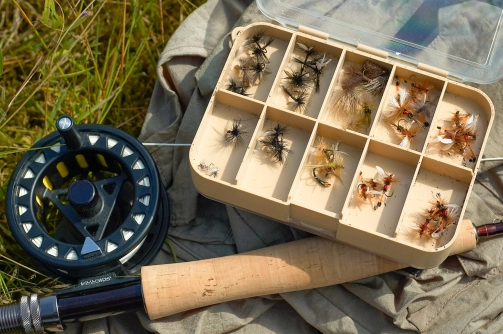 Dry fly selection Dry fly selection