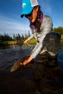 A quick toss A quick toss