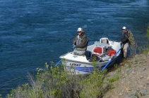 Towards the end of the fight Towards the end of the fight