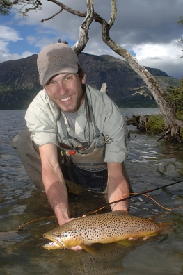 Brown in the sun Brown in the sun