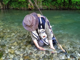 Ready to release Ready to release