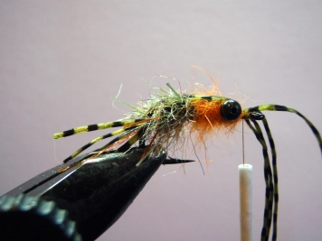 Legs forward Legs forward