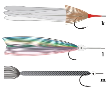 Fly styles plate 3 Fly styles plate 3