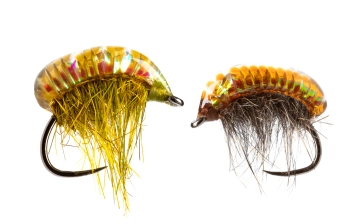 Two Slinky Shrimps Two Slinky Shrimps