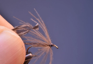 Step 10 - CdL feather ready to tie in Step 10 - CdL feather ready to tie in