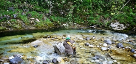 Don’t spook the trout! Don’t spook the trout!