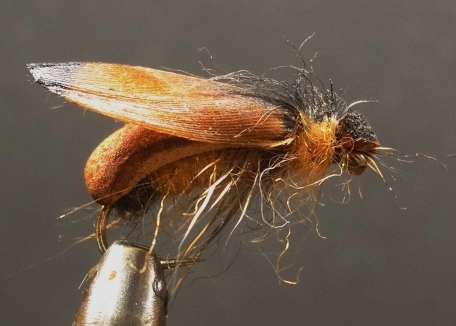 Finished 5 Minute Bug Finished 5 Minute Bug