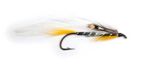 Black Ghost Black Ghost