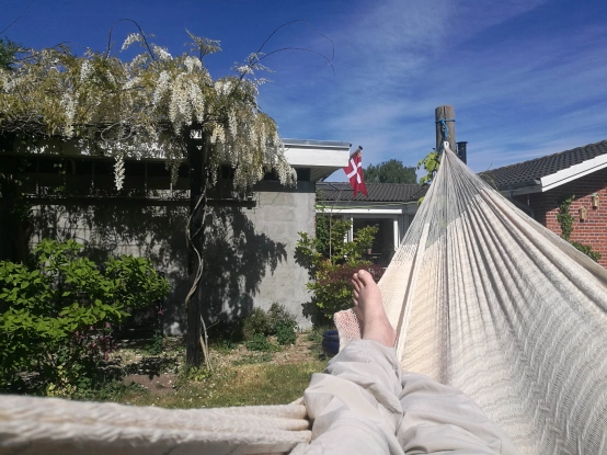 GFF having siesta GFF having siesta