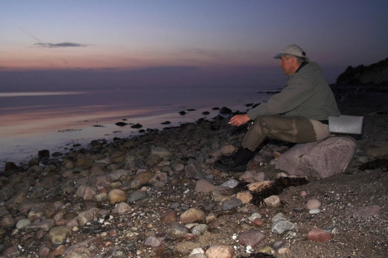 Where'd they go? - image Where'd they go? - image