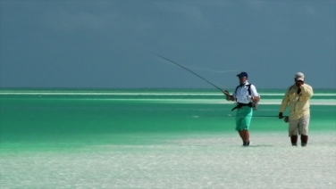 On the flats On the flats