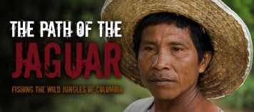 The tiitle The tiitle