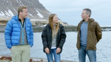 The experts The experts