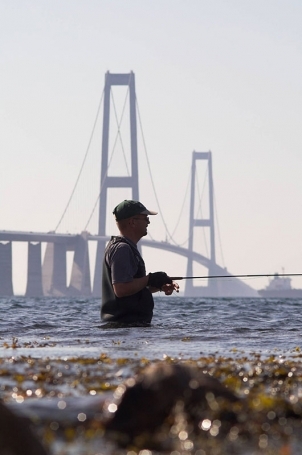 Surprising perspective Surprising perspective