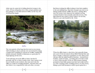 Sample pages Sample pages