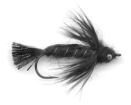 Black Fly - the most recent version