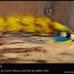 #12 Gee Whiz - Robbie Hiltz #12 Gee Whiz - Robbie Hiltz