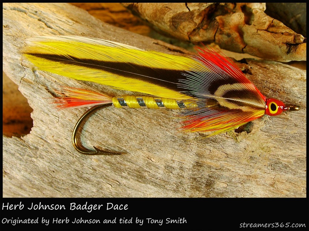 #15 Herb Johnson Badger Dace - Tony Smith