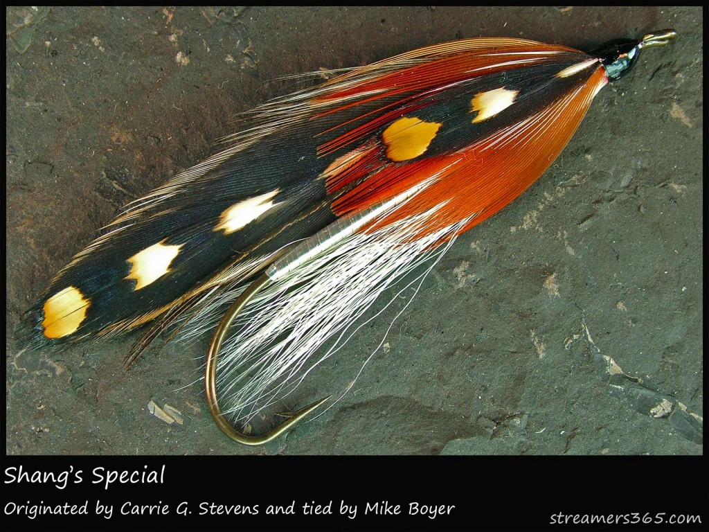 #19 Shang's Special - Mike Boyer #19 Shang's Special - Mike Boyer