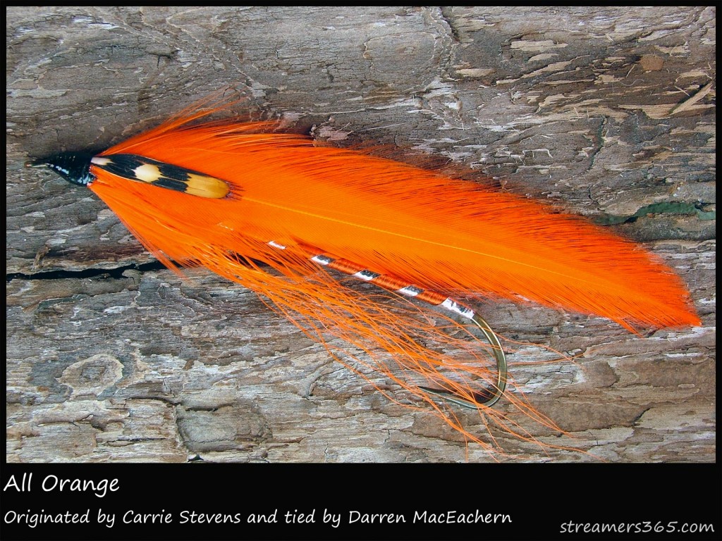 #25 All Orange - Darren MacEachern #25 All Orange - Darren MacEachern