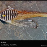 #27 Beige Grimard - David Mac #27 Beige Grimard - David Mac