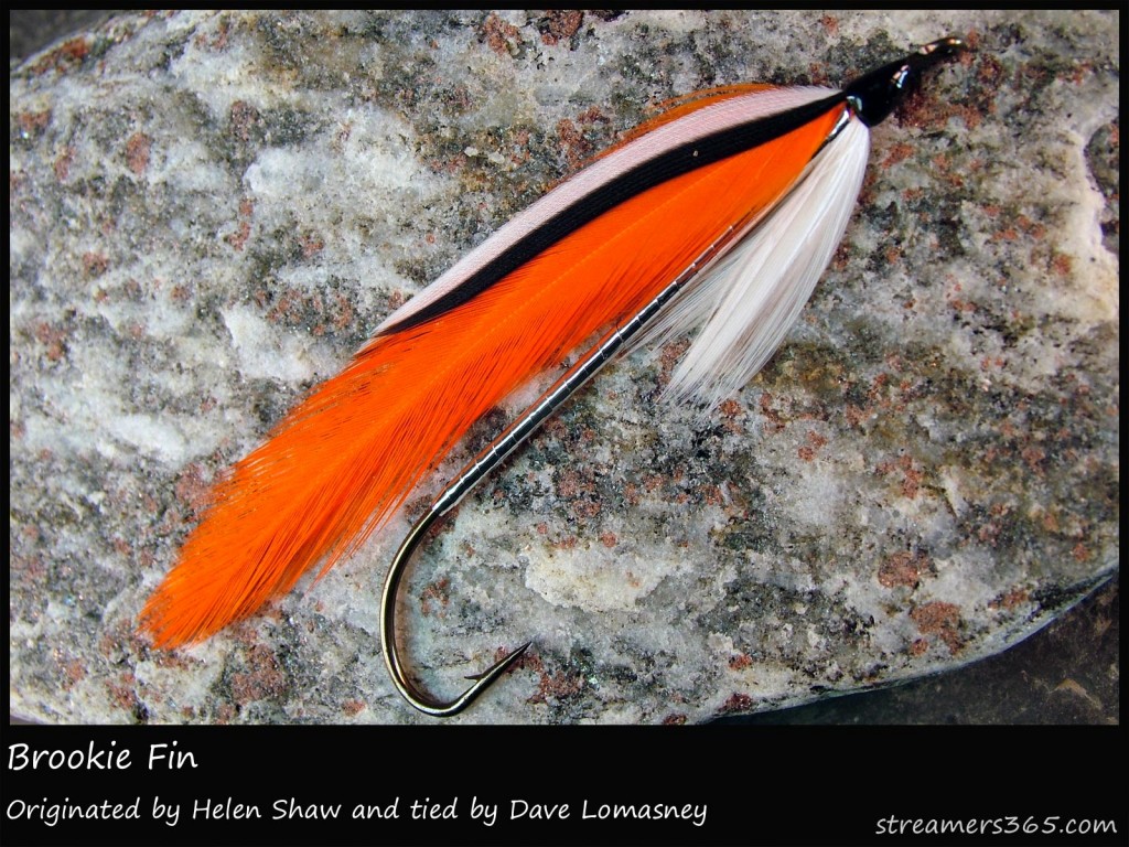 #57 Brookie Fin - Dave Lomasney #57 Brookie Fin - Dave Lomasney