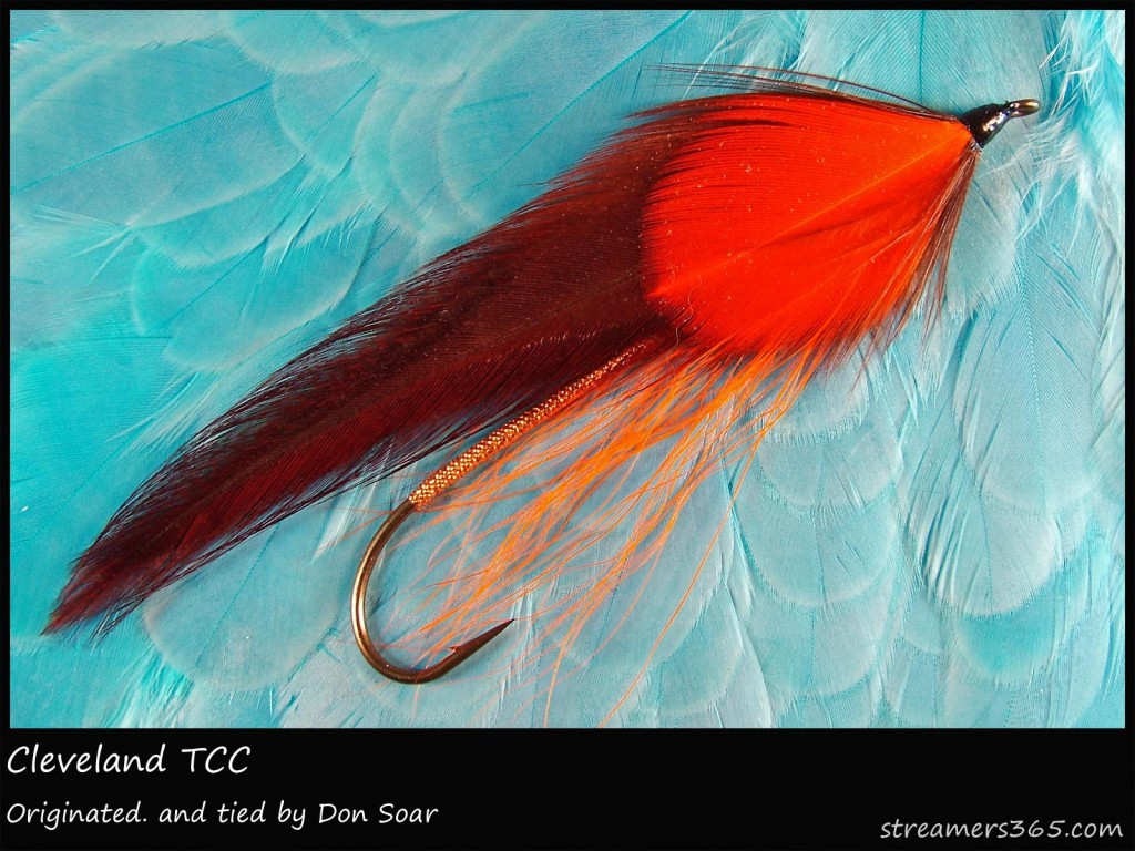 #72 Cleveland - Team Colors Collection - Don Soar #72 Cleveland - Team Colors Collection - Don Soar