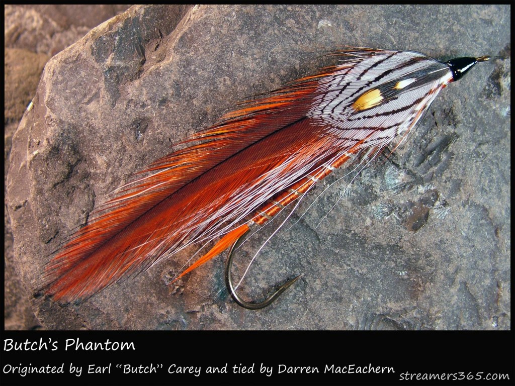 #81 Butch's Phantom - Darren MacEachern #81 Butch's Phantom - Darren MacEachern