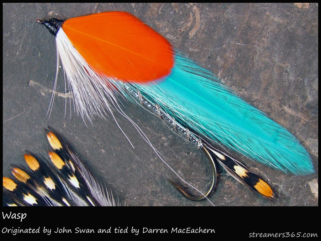 #105 Wasp - Darren MacEachern