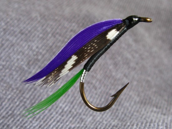 Black Moose - Image courtesy of Don Bastian Black Moose - Image courtesy of Don Bastian