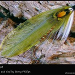 #143 Bev's Best - Barry Phillips #143 Bev's Best - Barry Phillips