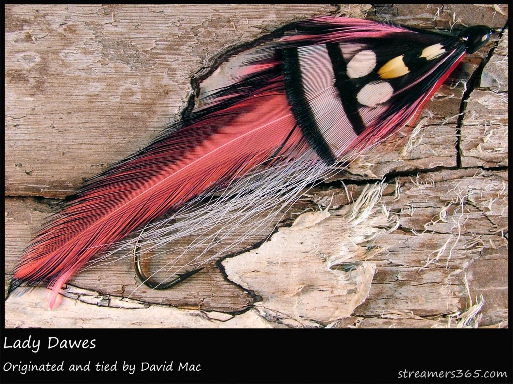 #151 Lady Dawes - David Mac #151 Lady Dawes - David Mac