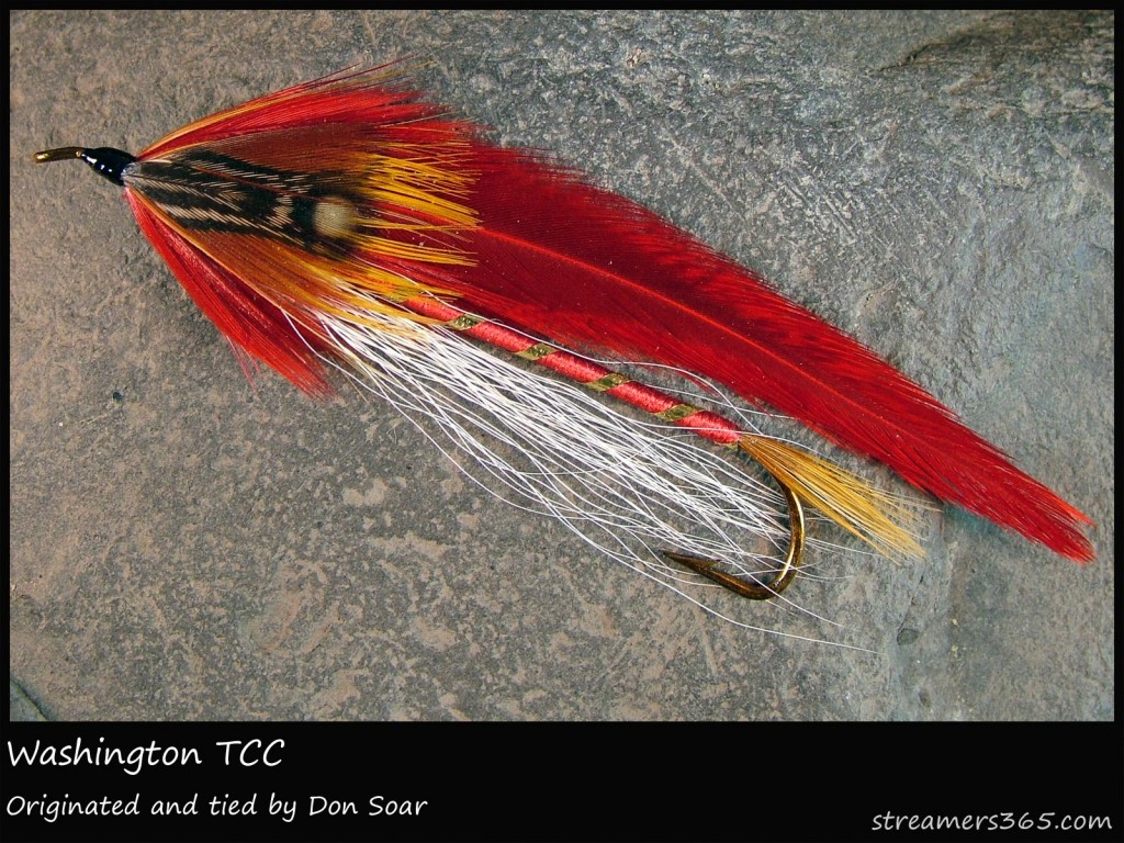 #167 Washington - Team Colors Collection - Don Soar #167 Washington - Team Colors Collection - Don Soar