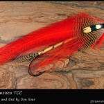 #225 San Francisco - Team Colors Collection - Don Soar #225 San Francisco - Team Colors Collection - Don Soar