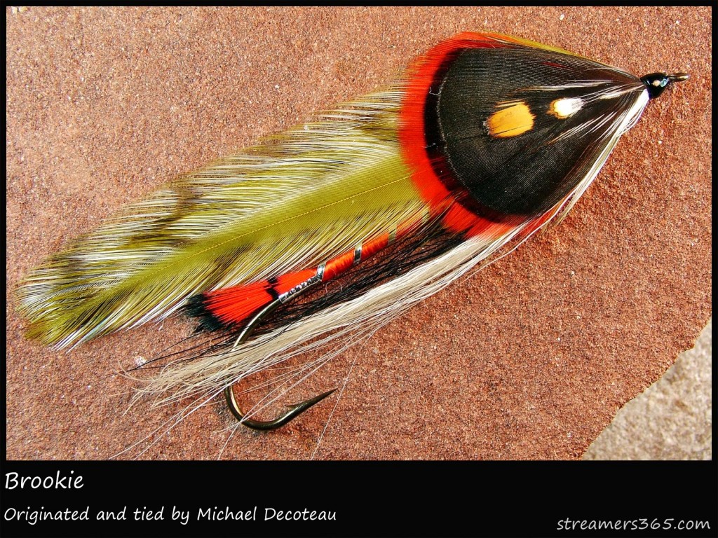 #303 Brookie - Michael Decoteau #303 Brookie - Michael Decoteau