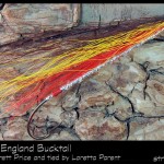 #17-2013 Rose of New England Bucktail - Loretta Parent