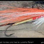 #65-2013 Cock Robin - Loretta Parent