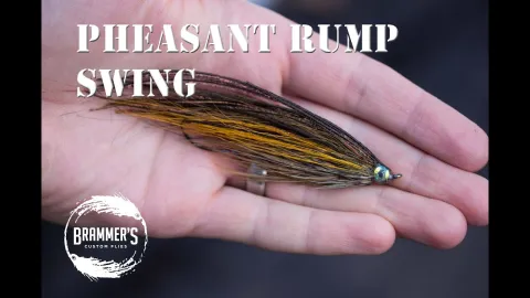 Video thumb for Pheasant Rump Swing