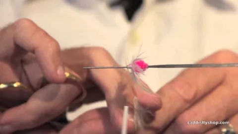 Video thumb for Egg for Steak and Eggs Steelhead Fly