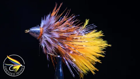 Video thumb for Guinea Bugger - Remnant Fly #26