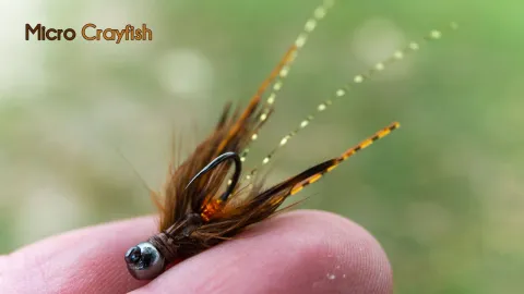 Video thumb for Micro Crayfish
